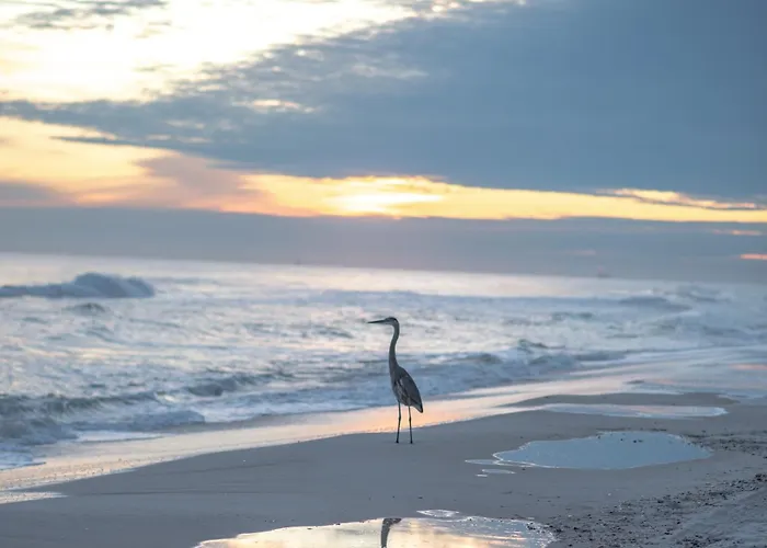 Change In Latitude Gulf Shores
